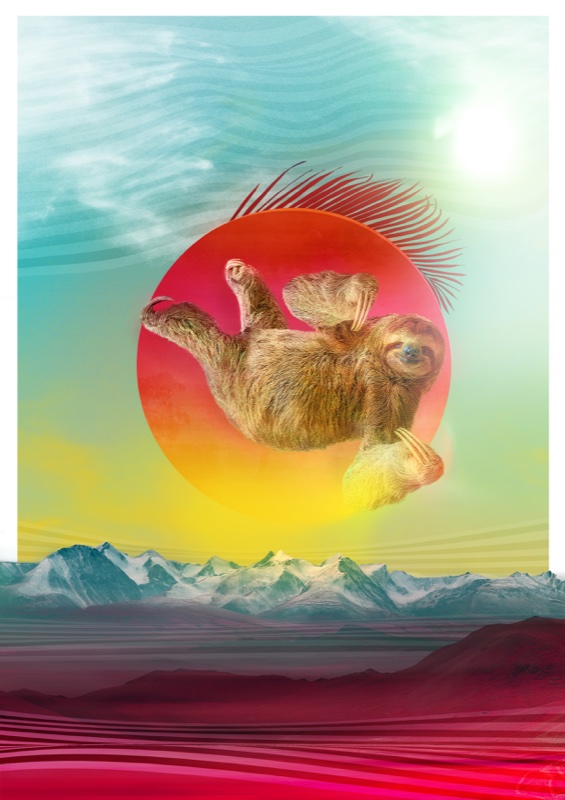 Flying Sloth, Kunstwerk von Katja Casper