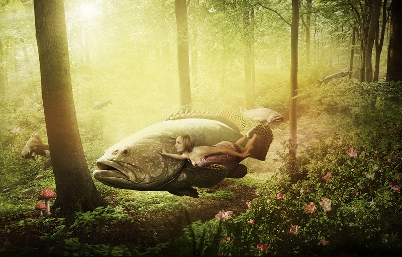 Waldfische, Kunstwerk von Katja Casper