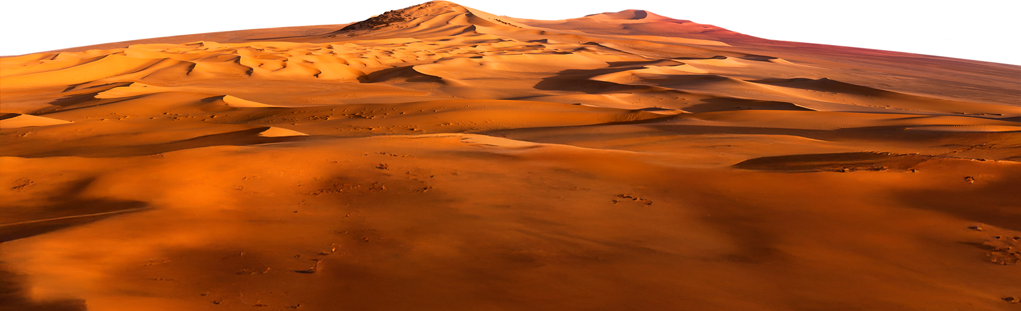 Wüstenlandschaft